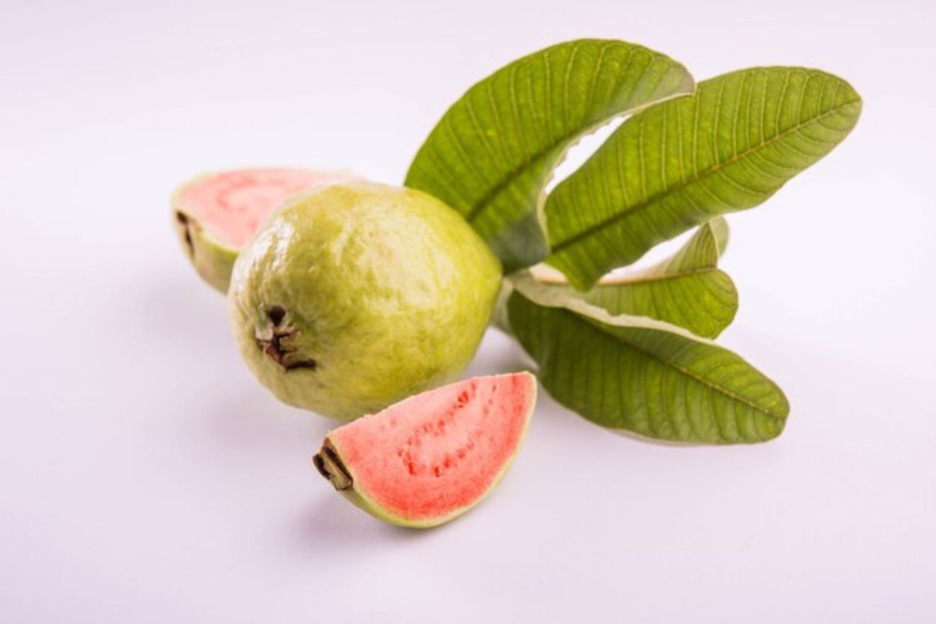 Guava leaf