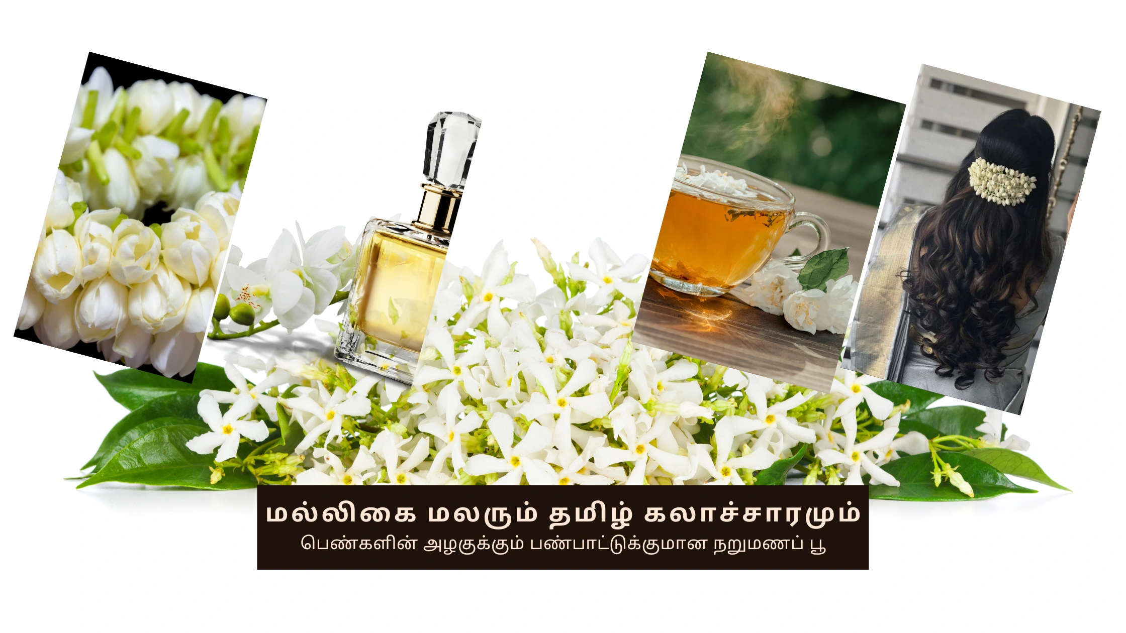 மல்லிகை மலரும் தமிழ் கலாச்சாரமும்: பெண்களின் அழகுக்கும் பண்பாட்டுக்குமான நறுமணப் பூ