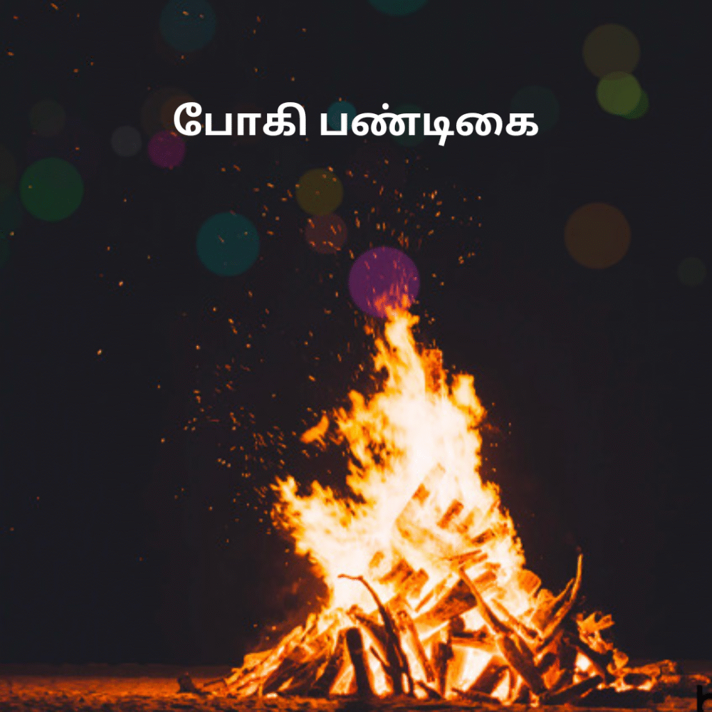 Thai Pongal